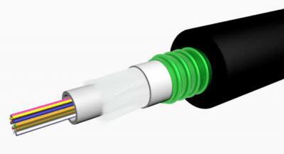 24 წვერიანი ოპტიკურ-ბოჭკოვანი კაბელი. 1 ტუბიანი